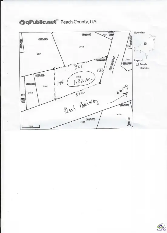 Picture 8
