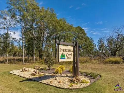 Residential Lot in Bleckley County