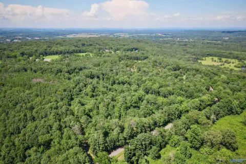 Decatur Acreage with Development Potential