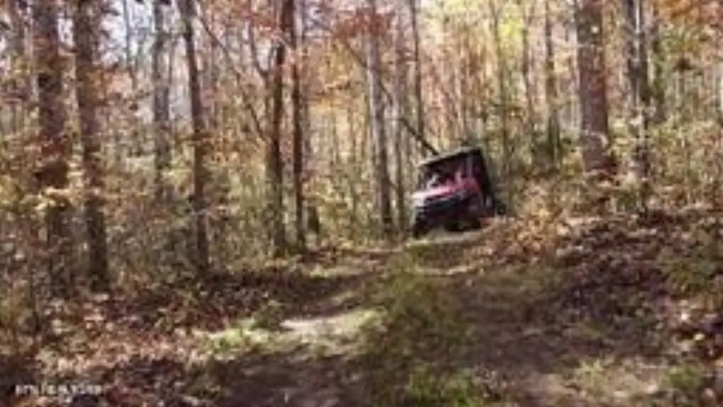 Picture 2