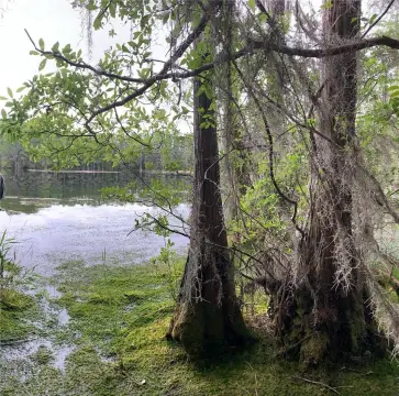 40 Acres with Private Lake