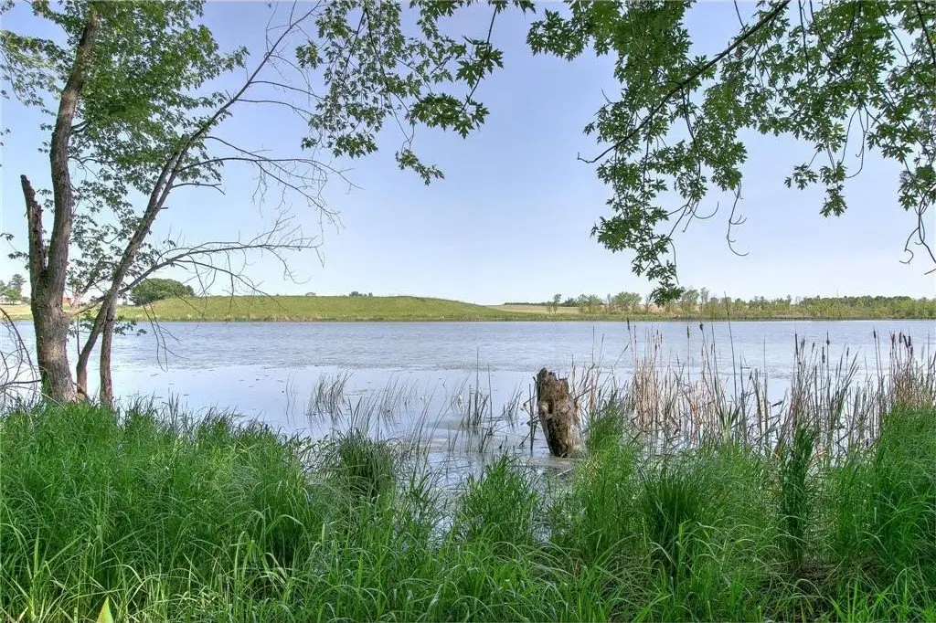 Picture 31
