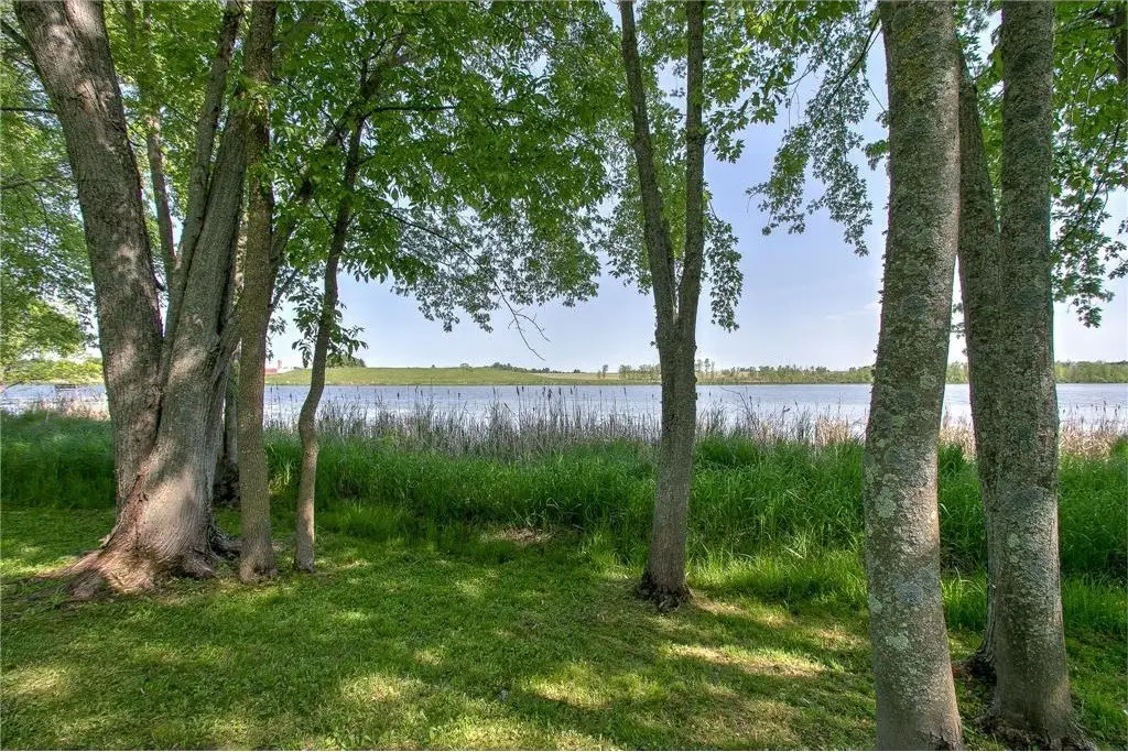 Picture 20