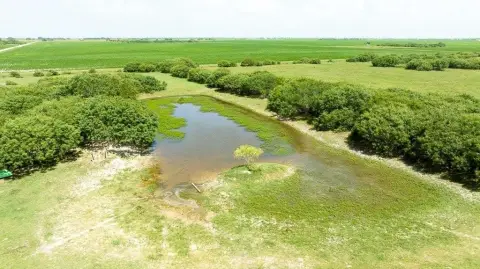 Fenced Agricultural Land