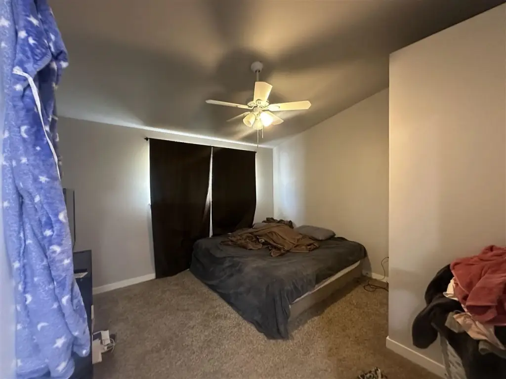 Picture 21