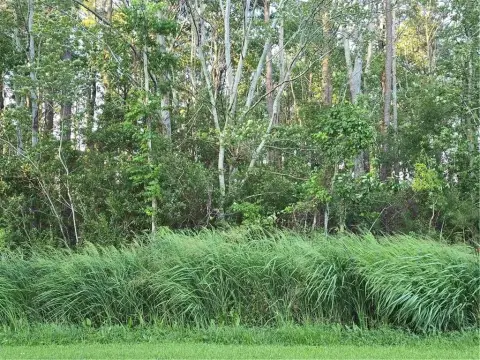 Glen Cove Wooded Flat Lot