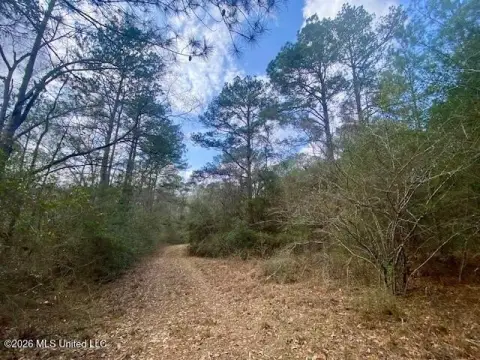 Secluded 10-Acre Land in McComb