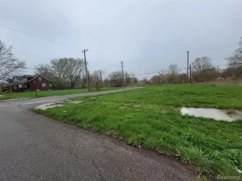 Detroit Vacant Land Opportunity