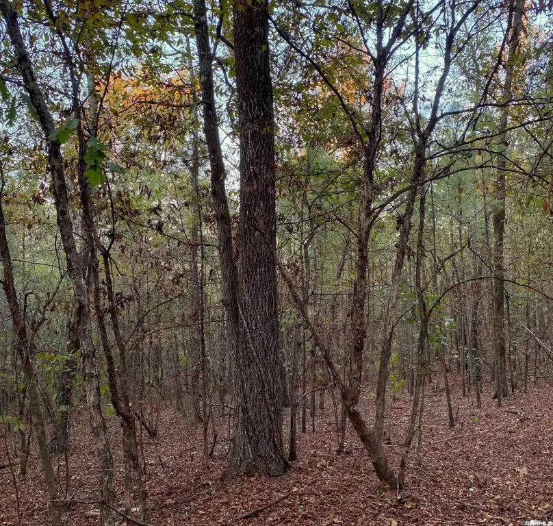 Picture 17