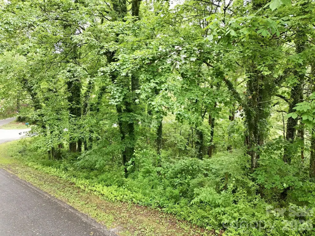 Picture 14