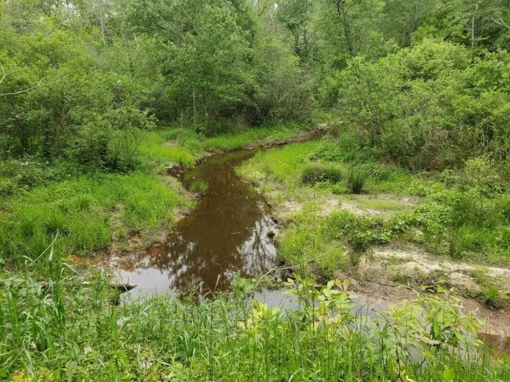Picture 18