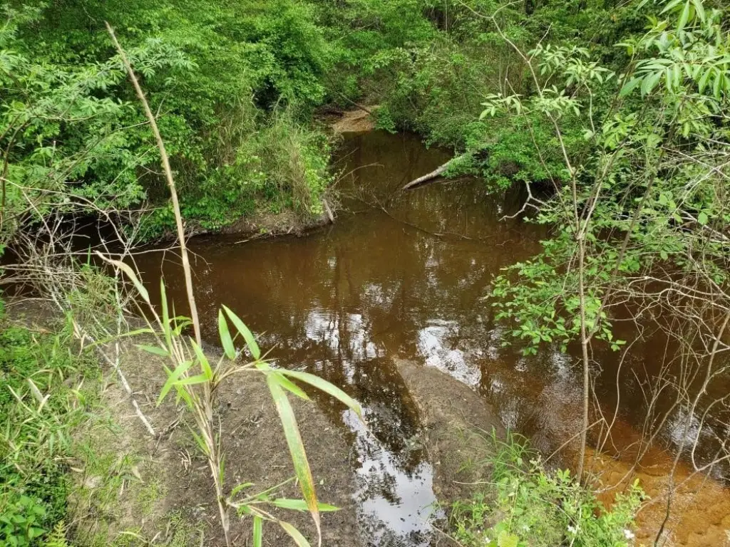 Picture 29