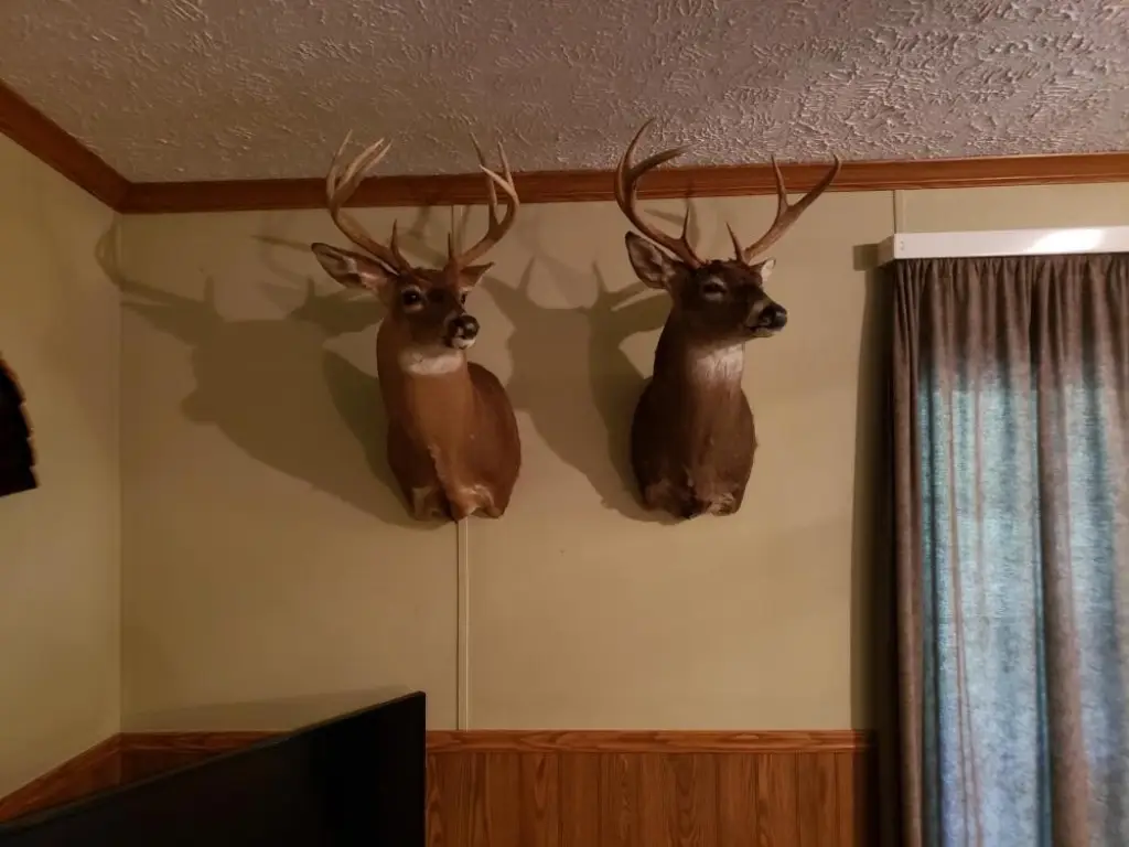 Picture 42