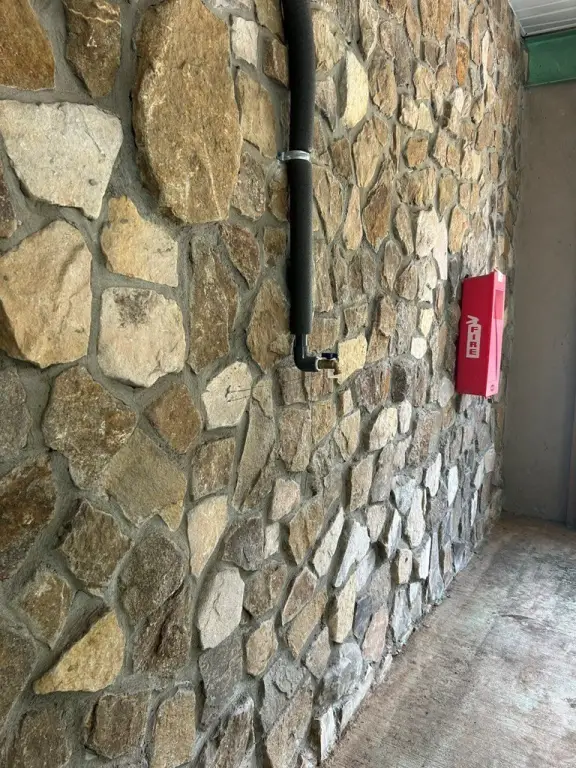 Picture 7