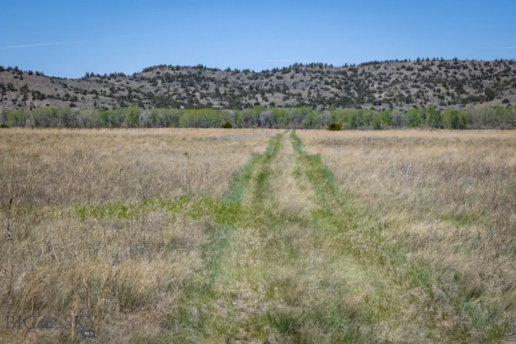 Picture 18