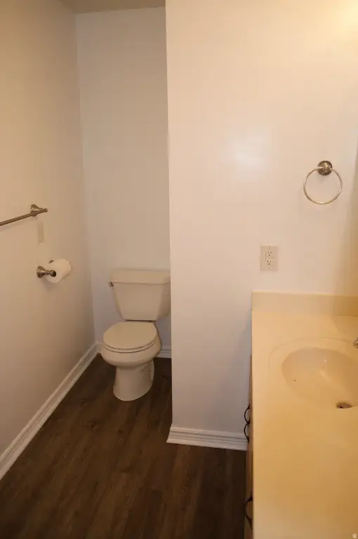 Picture 15