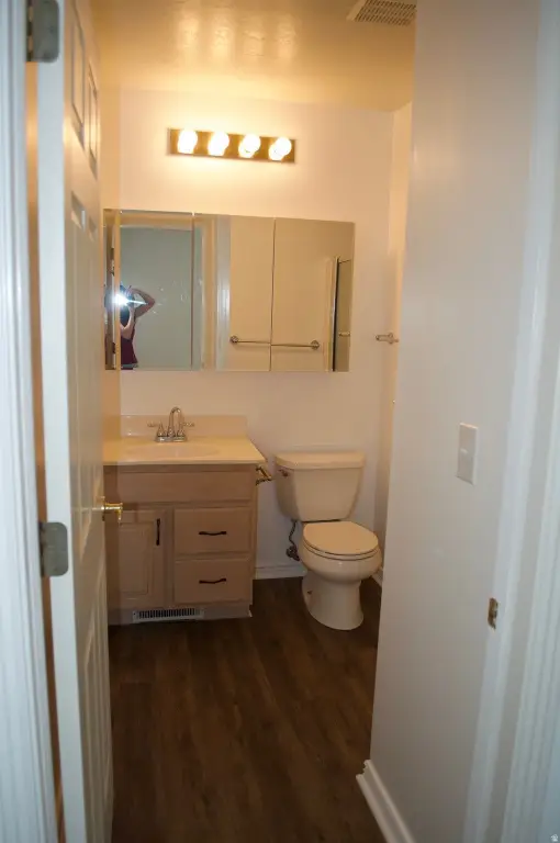 Picture 17