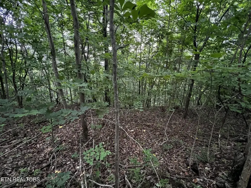 Picture 36