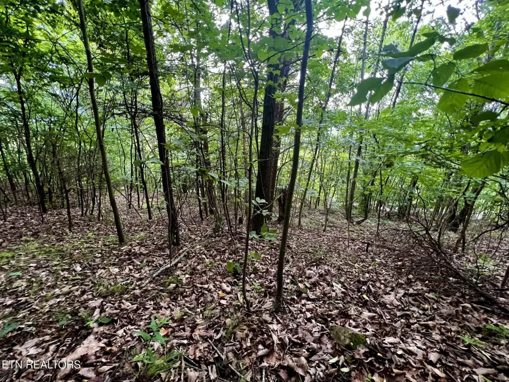 Picture 19