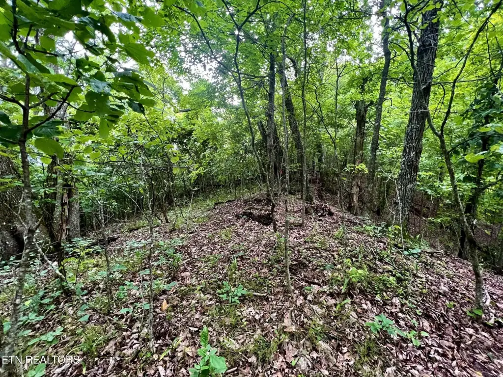 Picture 25