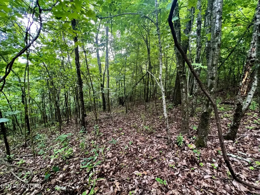 Picture 23