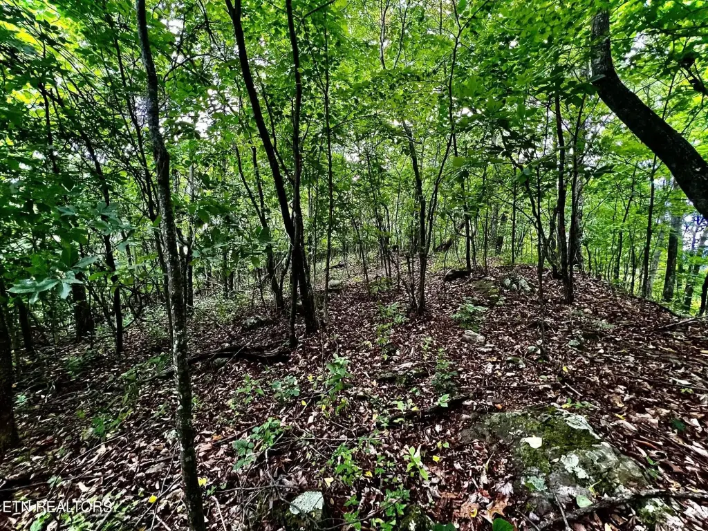 Picture 30