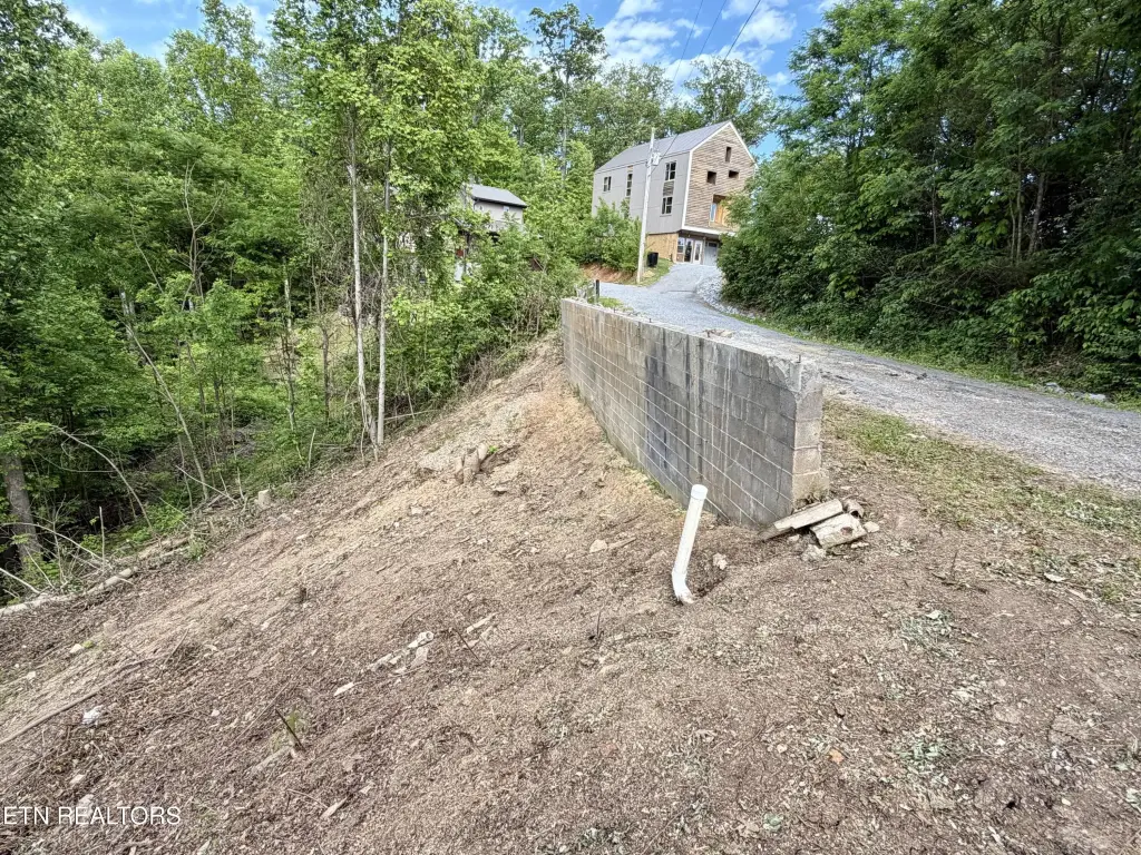 Picture 4