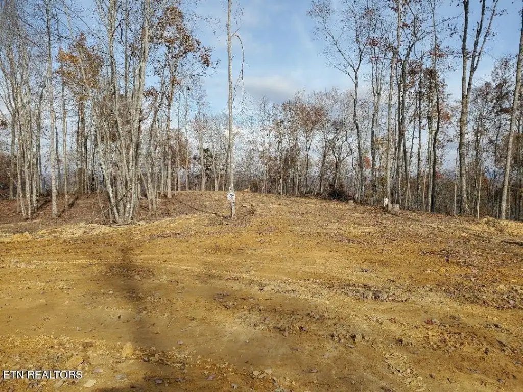 Picture 10