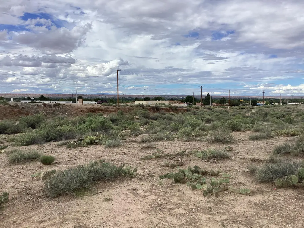 Picture 21