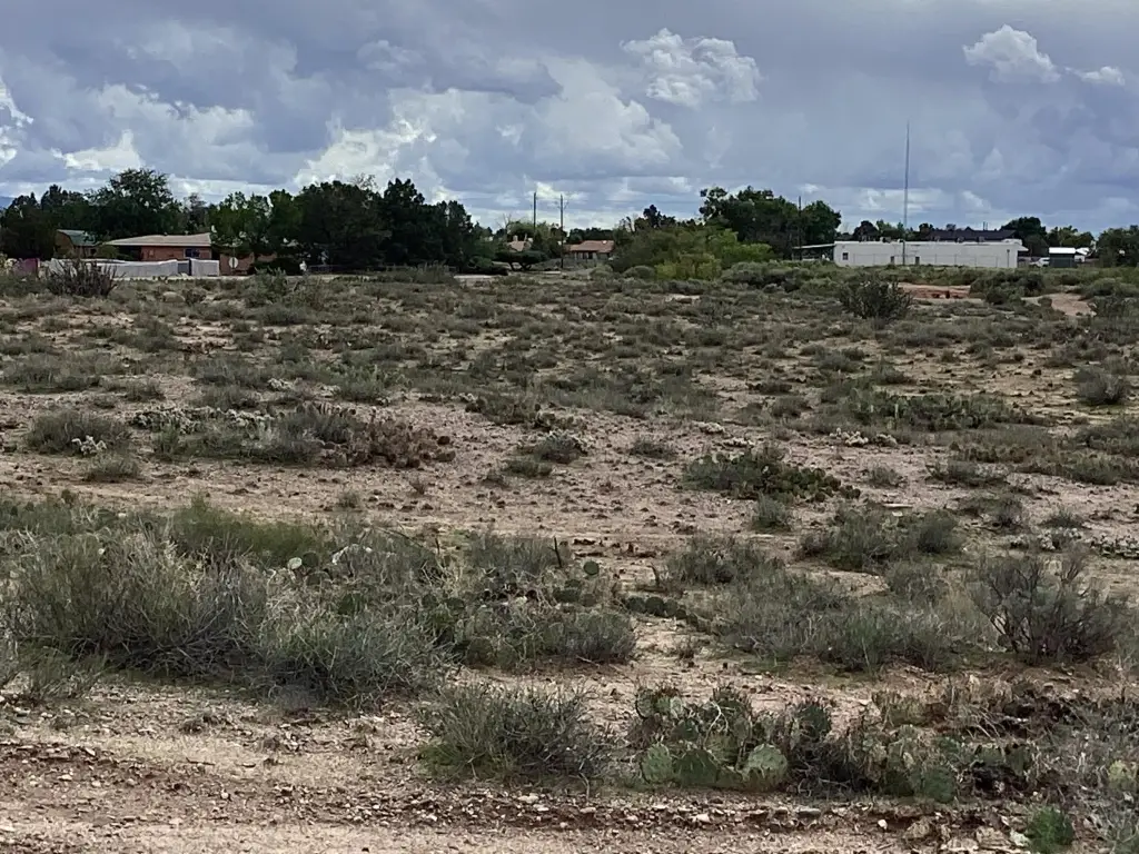 Picture 17