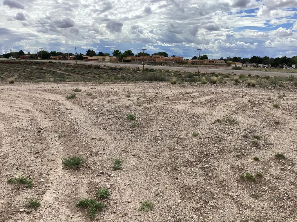 Picture 19