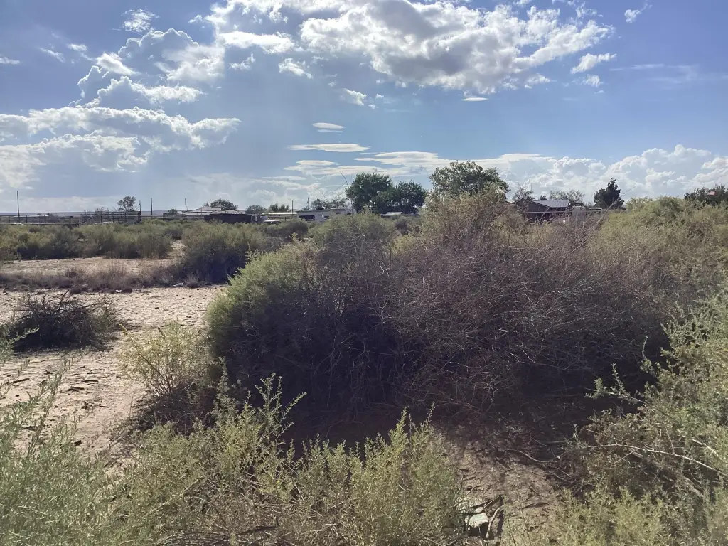 Picture 27