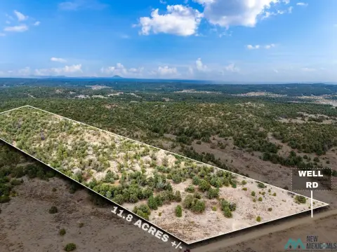 Expansive Land Parcel in Pinehill, NM