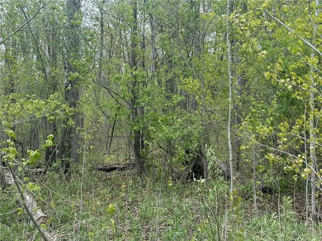 Picture 7