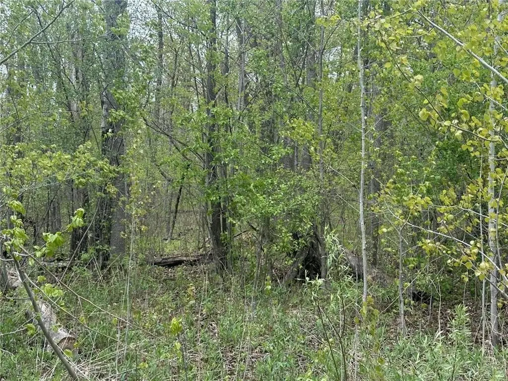 Picture 8