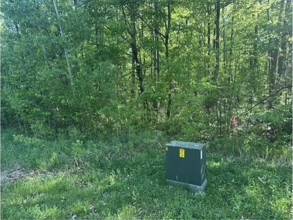 Picture 5