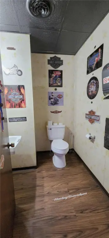 Picture 19
