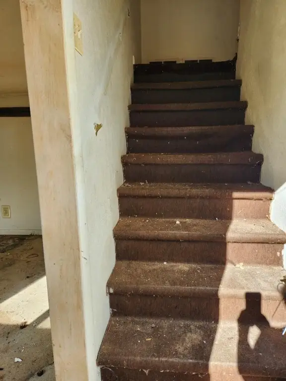 Picture 18