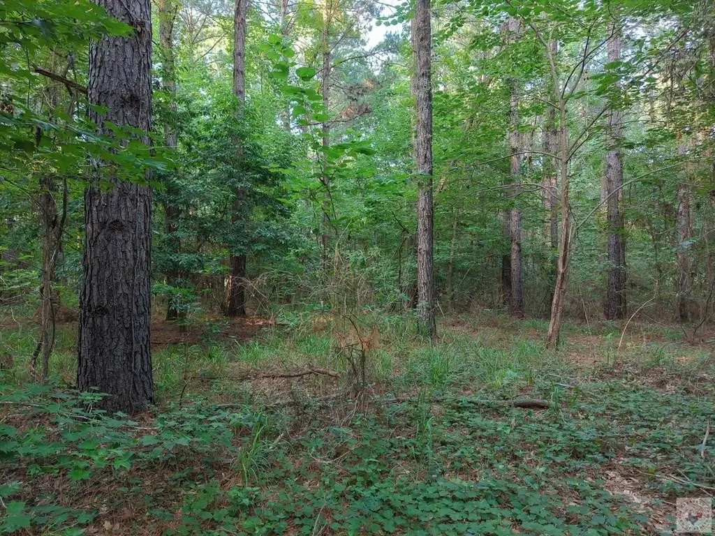 Picture 13