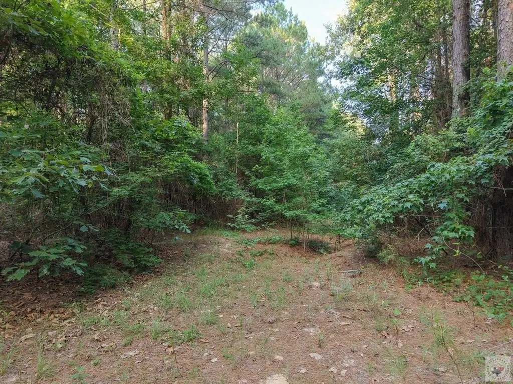 Picture 11