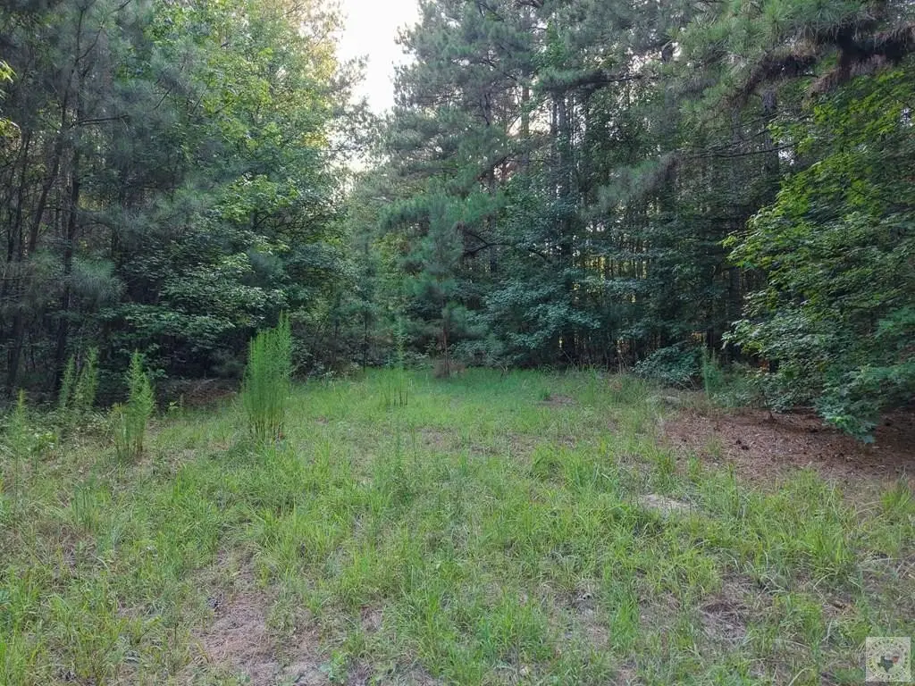 Picture 15