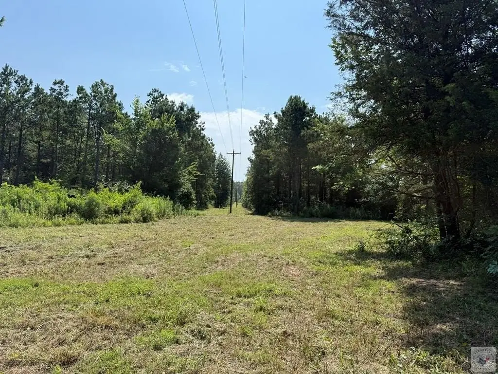 Picture 18
