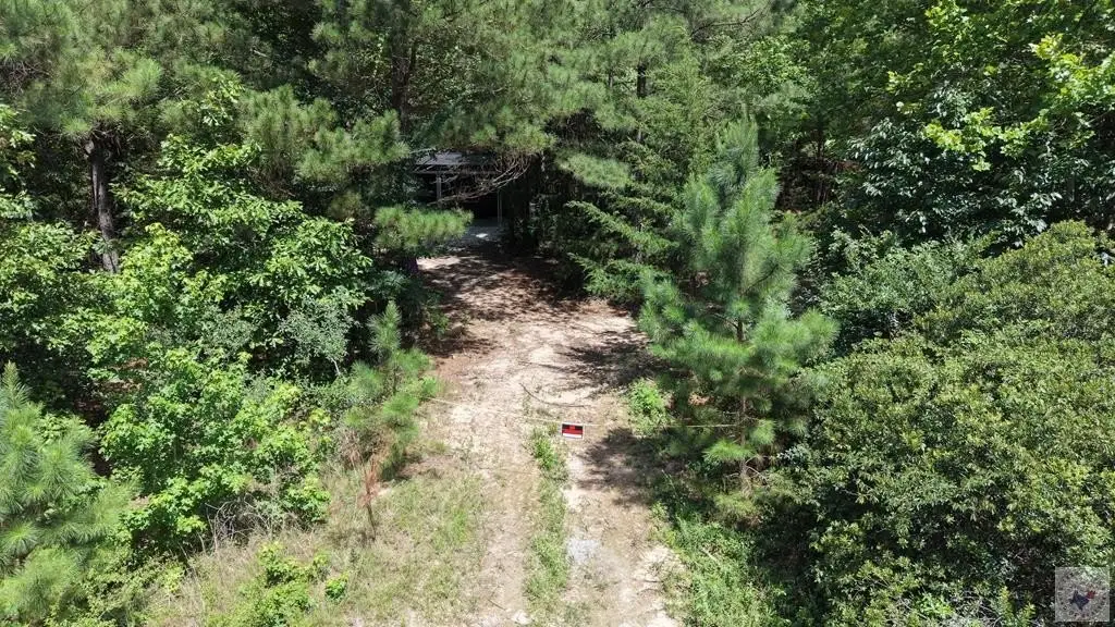 Picture 4