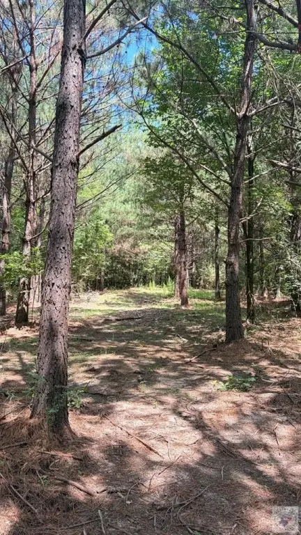 Picture 25