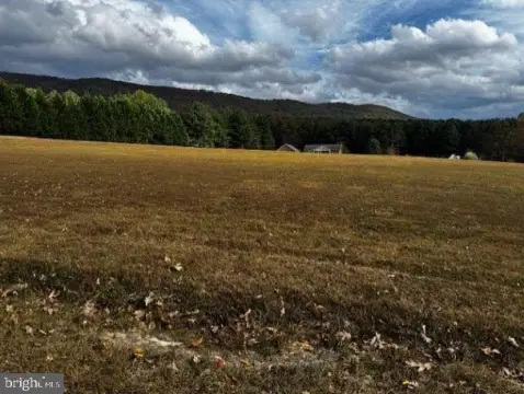 Cleared Land Parcel in Elkton