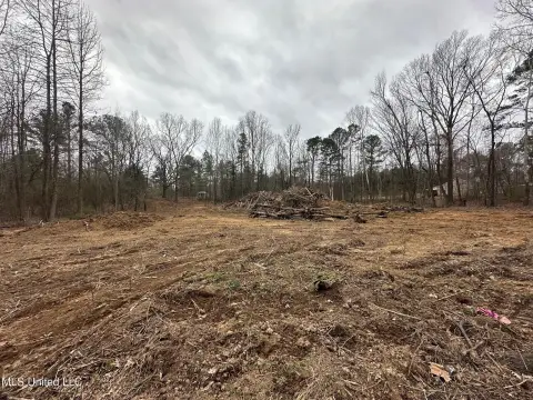 Residential Land in Byhalia, MS