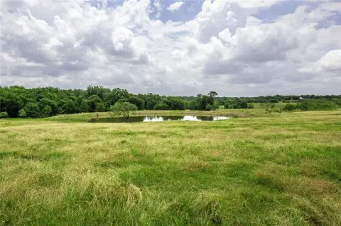 50 Acres of Texas Paradise