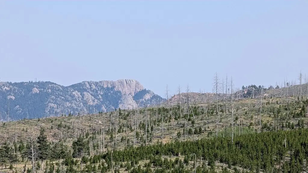 Picture 42