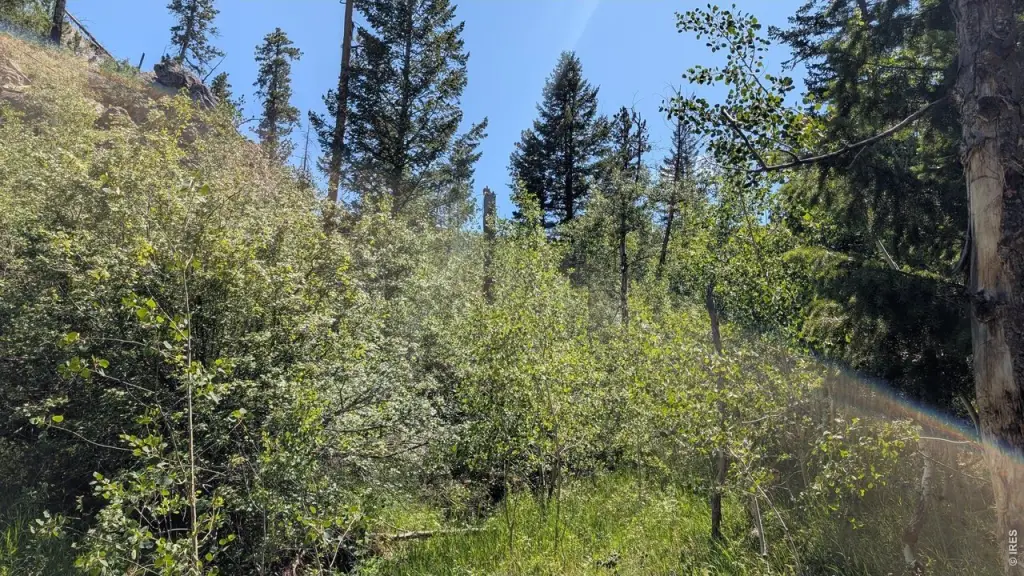 Picture 24