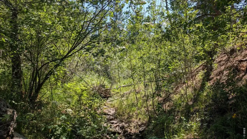 Picture 23